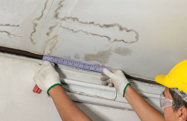 Reliable Water Damage Repair contractor in Edgar, WI by Hirex Water Damage